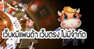 เว็บหมีแพนด้า เว็บตรง ไม่มีจำกัดhihuaypanda